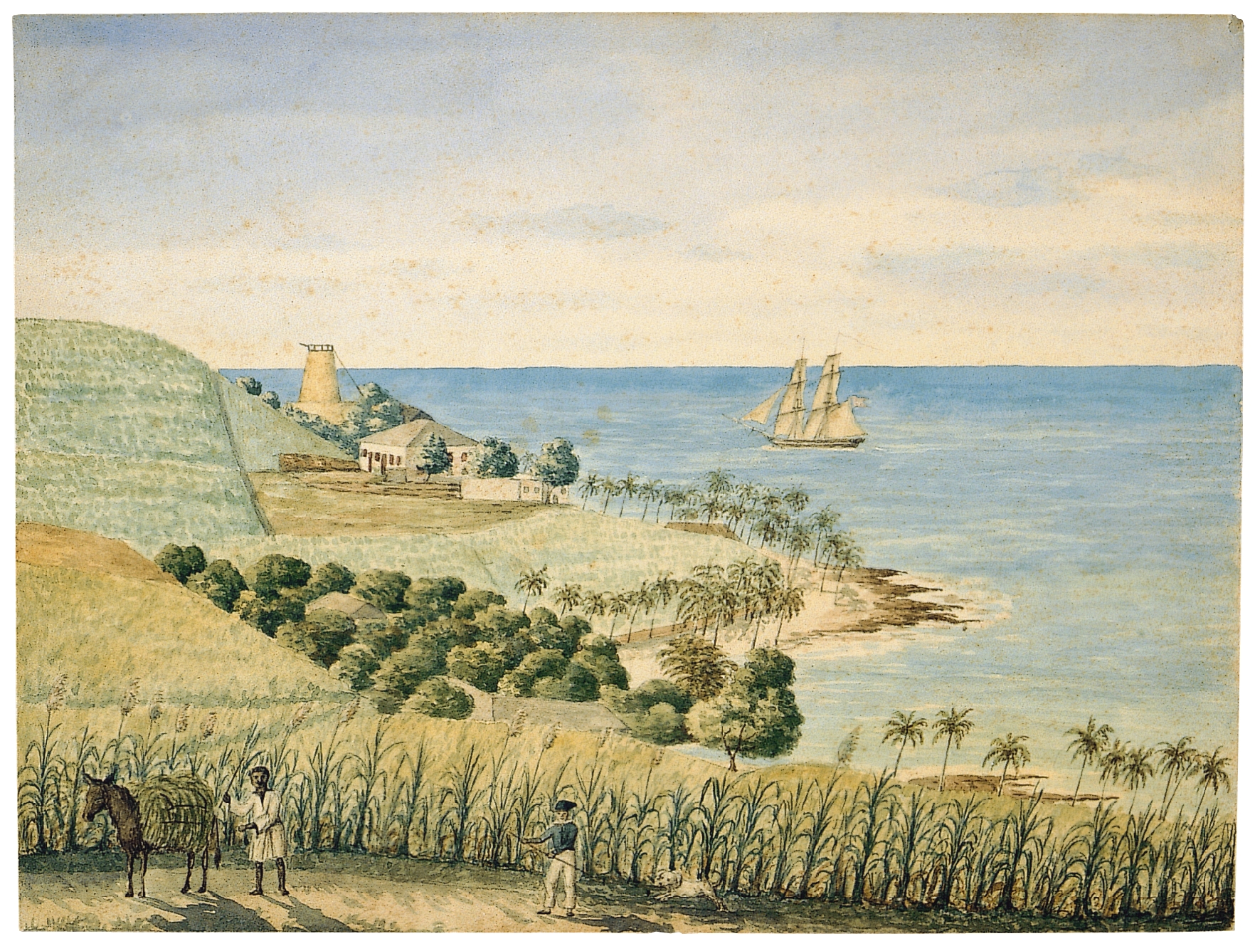 Butlersbay på St. Croix F. Scholten november 1833. Nationalmuseet.
